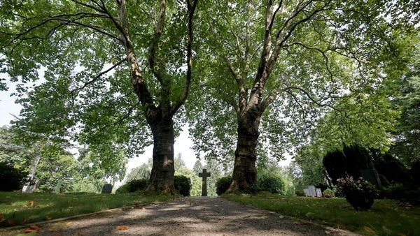 Friedhof Heiligenhaus: Ruhe und Natur genießen bei Hitze