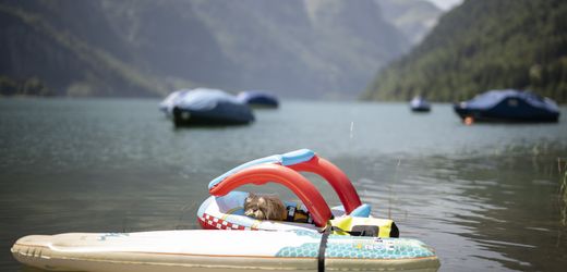 Donald Trump: Wie lange will die Schweiz noch so tun, als könne sie allein bestehen? – Kommentar