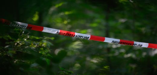 Brandenburg: Vermisste 22-Jährige aus Luckenwalde tot im Wald entdeckt