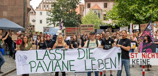 Ariane Kari hätte als Tierschutzbeauftragte viel zu tun. Leider verliert sie ihren Job – Meinung