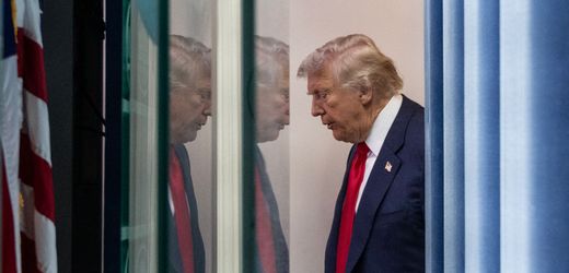Donald Trump (USA): Regierung will kontrollieren, was in Museen gezeigt wird