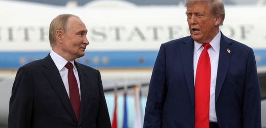 Ukraine: Donald Trump bestätigt weiteres Telefonat mit Wladimir Putin