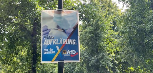 Kommunalwahlen in NRW: Stadt Dortmund zieht gegen AfD vor Gericht – Streit über Wahlplakate