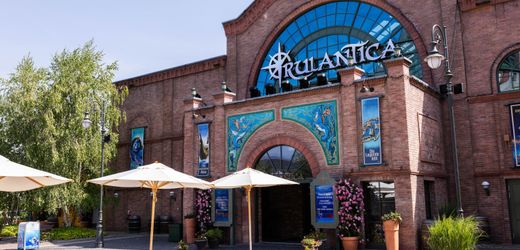Europa-Park: Mutmaßlicher Missbrauch eines Kindes – Verdächtiger nach Deutschland ausgeliefert