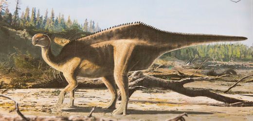 Dinosaurier: Forscher entdecken bislang unbekannte Art auf der Isle of Wight