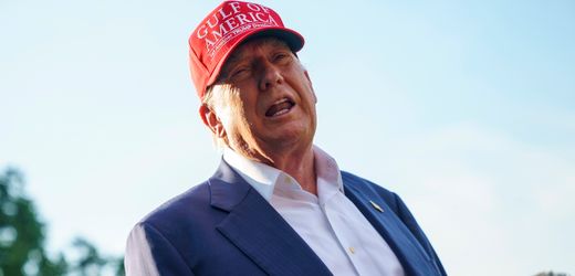 Donald Trump: Statistikchefin nach schwachen Jobdaten entlassen
