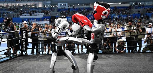»Roboter-Olympia in Peking«: Alles gut, wir Menschen werden noch gebraucht