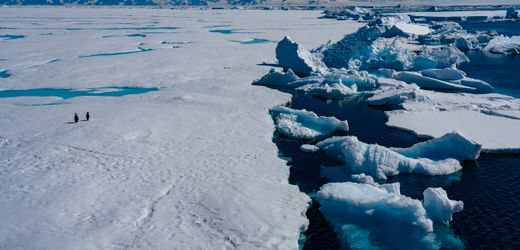 Antarktis: Forscher warnen vor drohendem Kipppunkt – Pinguine in Gefahr