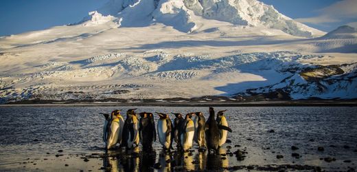 Heard Island: Gletscherschwund auf australischer Insel alarmiert Forschende