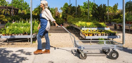 Aktivrente soll wohl zum Jahreswechsel an den Start gehen