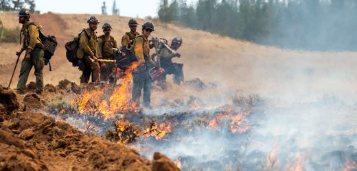 USA: Behörden nehmen Helfer der Feuerwehr mitten im Einsatz fest