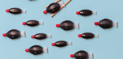 Müllproblem: Australien verbietet Sojasoßen-Plastikfische