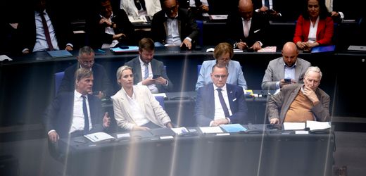 AfD musste 1,1 Millionen Euro zahlen – Verstöße gegen Parteiengesetz:
