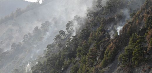 Russland: Waldbrand wohl durch Drohnenabsturz nahe »Putins Palast«