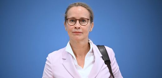 Frauke Brosius-Gersdorf geht juristisch gegen Plagiatssucher Stefan Weber vor