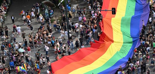 Regenbogenflagge, Frauke Brosius-Gersdorf: Kulturkämpfer, das sind immer die anderen