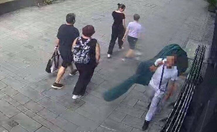 Dieb trug die Beute durch die Altstadt: Gestohlener Kontrabass kehrt über Umwege zu Musiker zurück