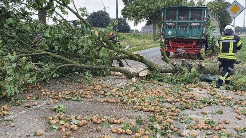 Unfall auf der Uedemer Straße: Gespann bleibt an Baum hängen – Kartoffelernte landet auf der Straße