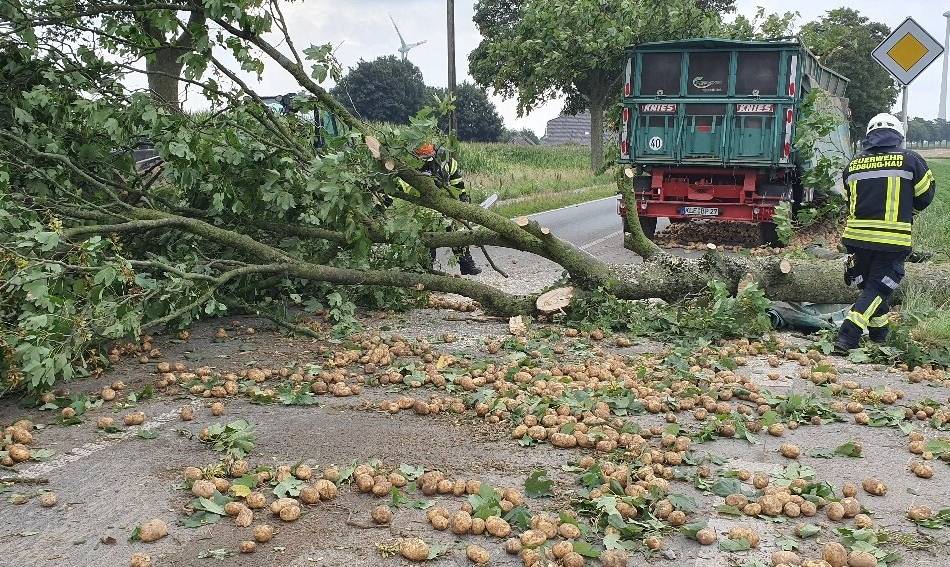 Unfall auf der Uedemer Straße: Gespann bleibt an Baum hängen – Kartoffelernte landet auf der Straße
