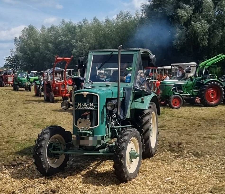 Wiese an der Burgruine: 150 Oldtimer beim Treckertreffen in Wachtendonk
