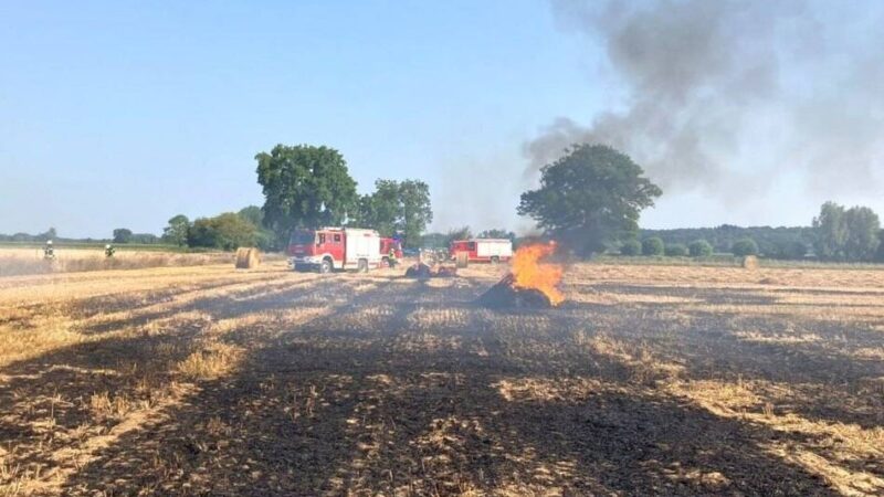 Feldbrand in Sonsbeck-Labbeck sorgt für Großeinsatz: Was Flächenbrände im Hochsommer den Einsatzkräften körperlich abverlangen