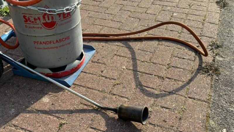 Gefahr bei Trockenheit: Feuerwehr in Bedburg-Hau rückt zu Heckenbrand durch Gasbrenner aus