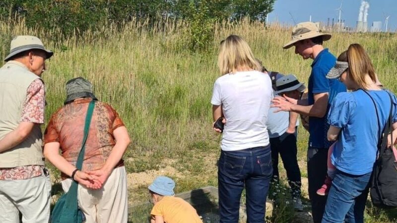 Wiederbelebte Landschaften in Garzweiler: Die neue Vielfalt auf dem Abraum des Tagebaus