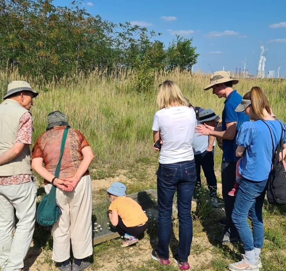 Wiederbelebte Landschaften in Garzweiler: Die neue Vielfalt auf dem Abraum des Tagebaus