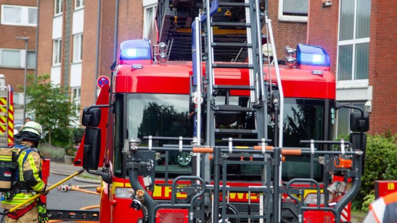 Feuerwehreinsatz in Krefeld: Heckenbrand an der Glindholzstraße geht glimpflich aus