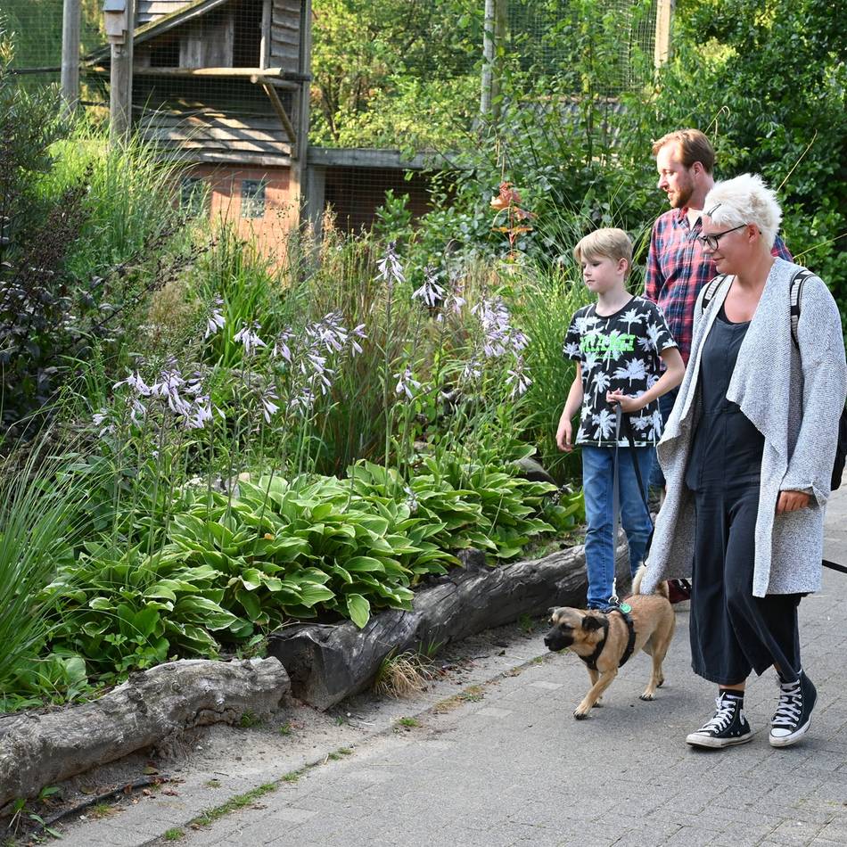 Neues Angebot: Klever Tiergarten bietet ab sofort zwei Hundetage pro Woche