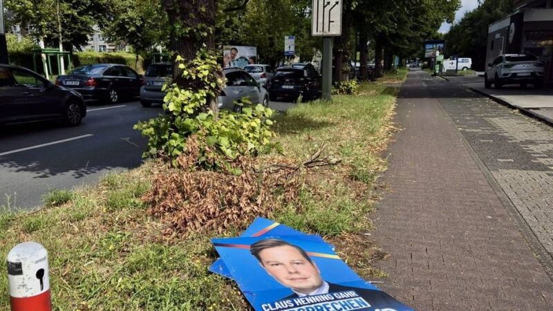 „Es ist deutlich mehr geworden“: Die Hälfte aller Wahlplakate der AfD in Düsseldorf soll schon zerstört sein