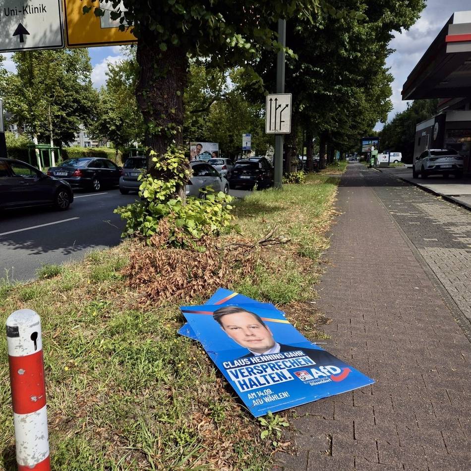 „Es ist deutlich mehr geworden“: Die Hälfte aller Wahlplakate der AfD in Düsseldorf soll schon zerstört sein