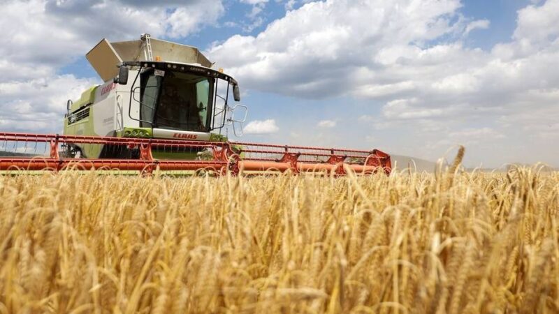 Kreis Viersen: In den grünen Berufen fehlen Azubis