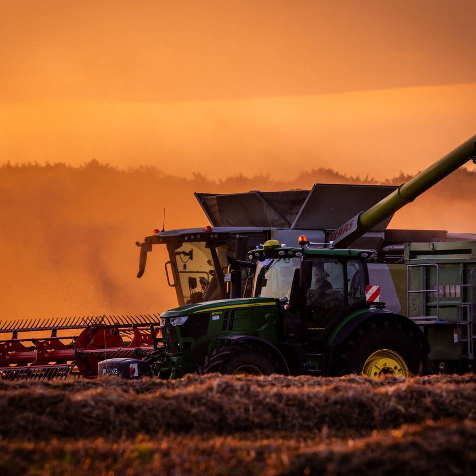 Ernte 2025 im Kreis Mettmann: Getreide eignet sich fast nur als Futter