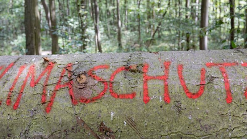 Angebot der Volkshochschule: Klimawandel verstehen und selbst aktiv werden