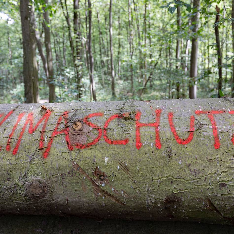 Angebot der Volkshochschule: Klimawandel verstehen und selbst aktiv werden