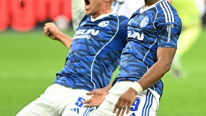 Zweitliga-Saisonstart: „Gekämpft wie Löwen“ – Starke Schalker düpieren Hertha