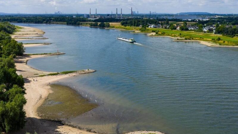 Diskussion um Schwimmverbote im Rhein: Landrat spricht sich für generelles Badeverbot im Kreis Wesel aus