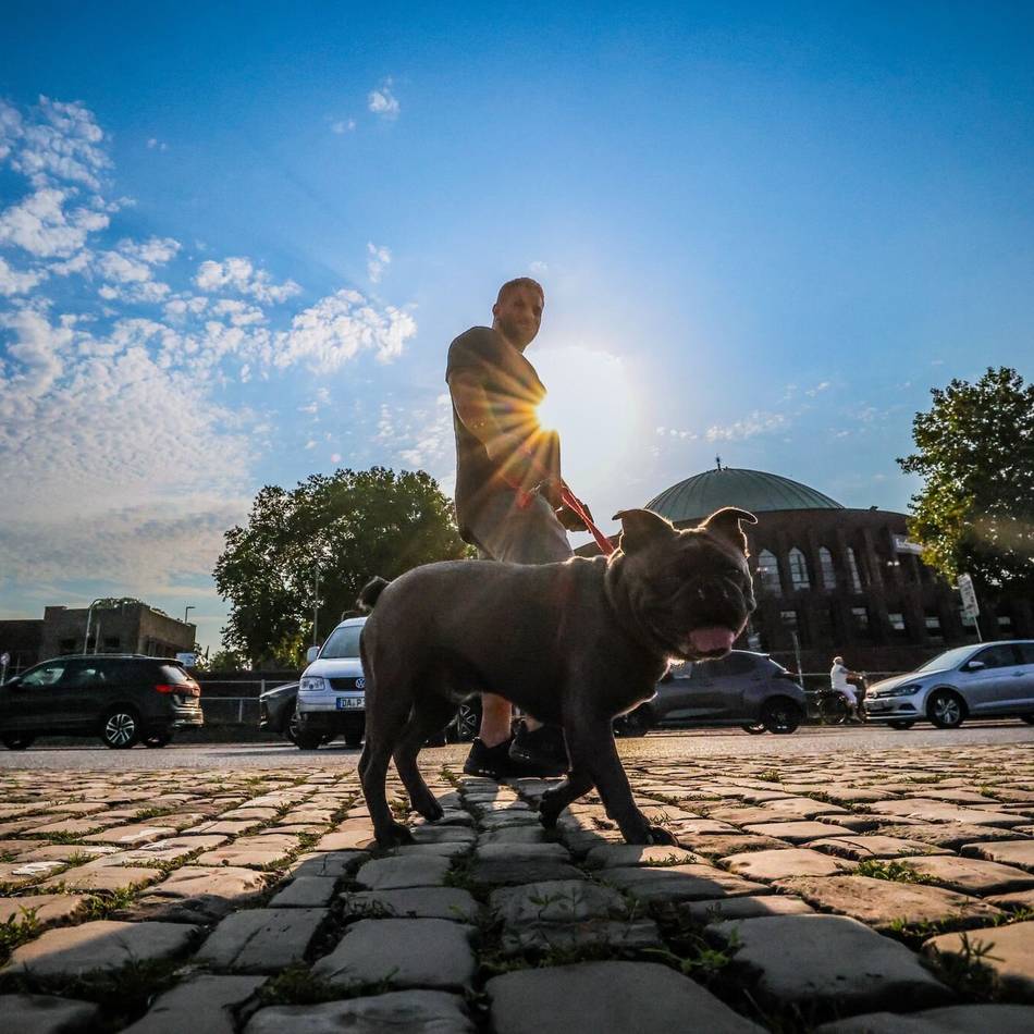 Vorhersage für diese Woche: Das Wetter in Düsseldorf zeigt sich launisch