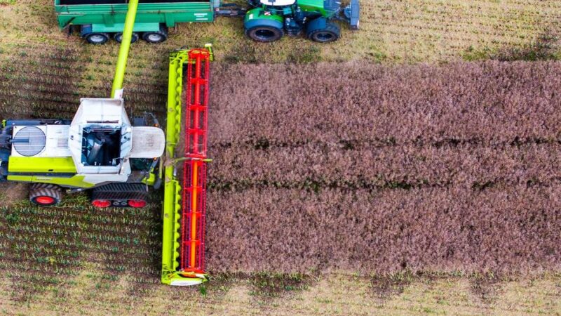 Große Sorgen bei Dormagens Landwirten: „Dann haben wir das ganze Jahr umsonst gearbeitet“