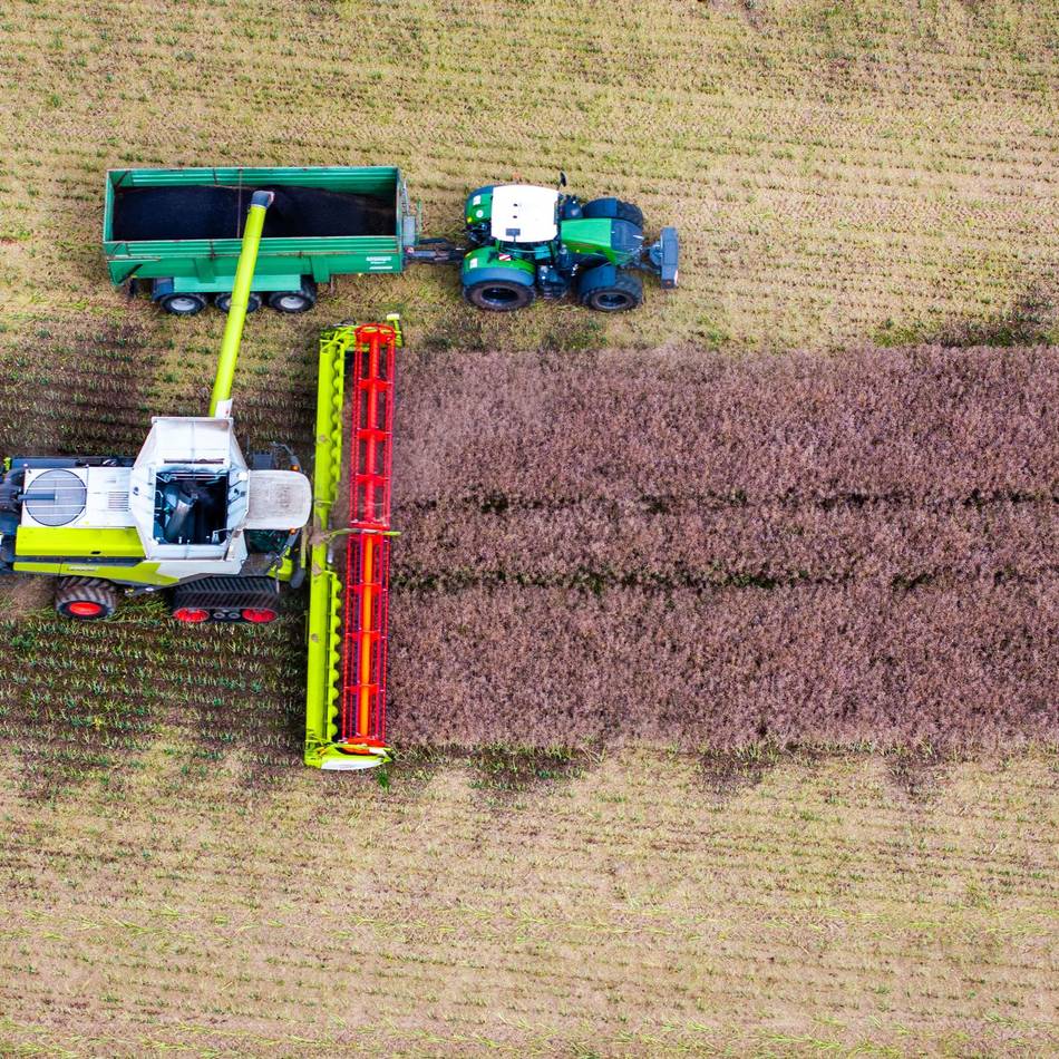 Große Sorgen bei Dormagens Landwirten: „Dann haben wir das ganze Jahr umsonst gearbeitet“