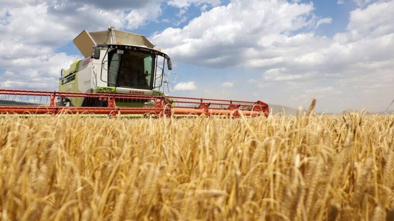 Kreisbauernschaft Mettmann: Regnerischer Sommer erschwert die Ernte
