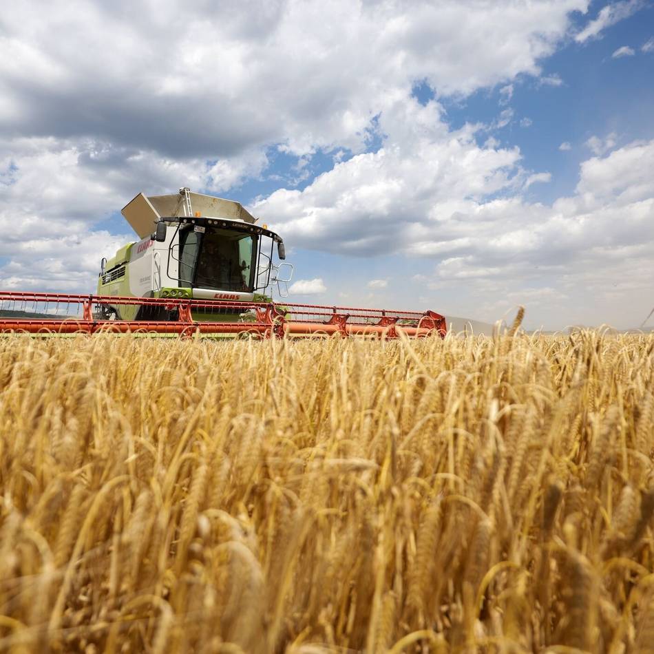 Kreisbauernschaft Mettmann: Regnerischer Sommer erschwert die Ernte