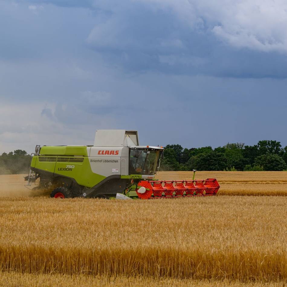 Auch im Rhein-Kreis Neuss: Sorgen um die Getreideernte