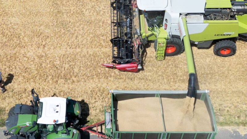 Im Rheinland: Getreideernte abgeschlossen – Stimmung bei Landwirten gedämpft
