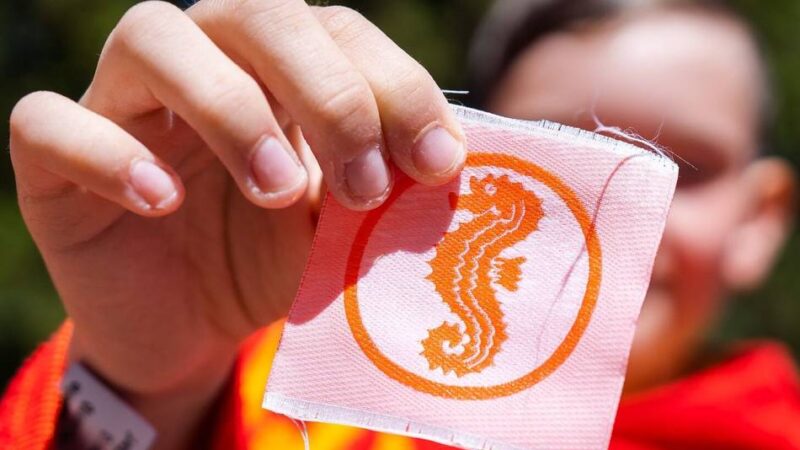 Sommerferien in Krefeld: Bürgerstiftung organisiert Schwimmkurse für Kinder und Jugendliche