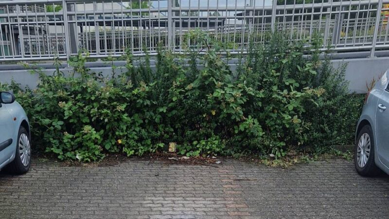 Vier Stellplätze sind eingerichtet: Für mehr Sicherheit – neue Frauenparkplätze am Bahnhof in Kevelaer