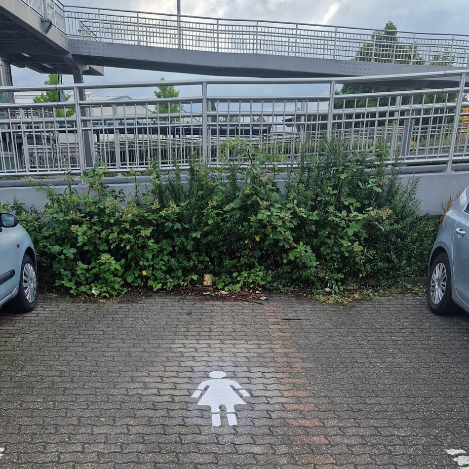 Vier Stellplätze sind eingerichtet: Für mehr Sicherheit – neue Frauenparkplätze am Bahnhof in Kevelaer