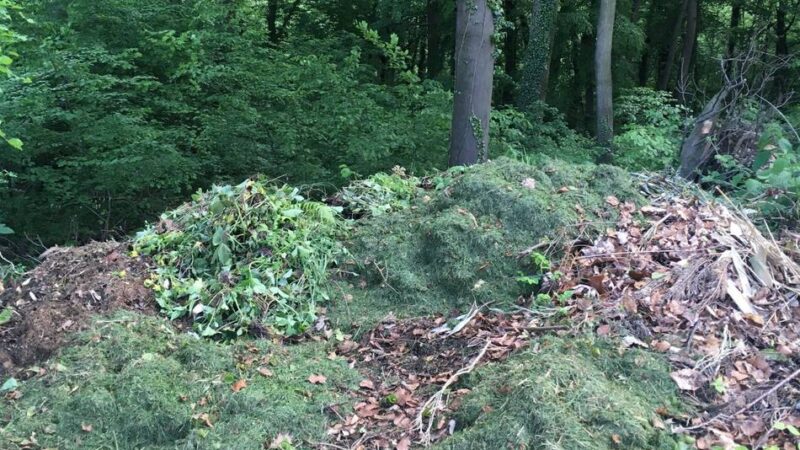 Entsorgung im Kreis Viersen: Grünabfälle aus dem Garten gehören nicht in den Wald