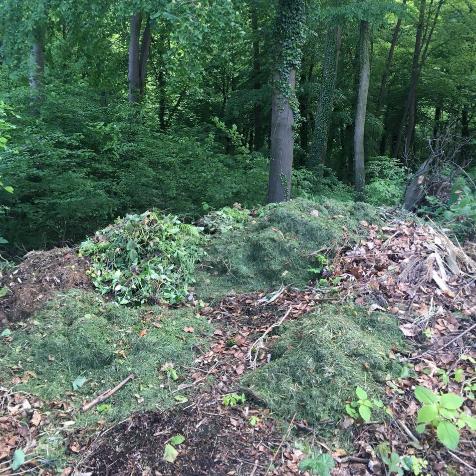 Entsorgung im Kreis Viersen: Grünabfälle aus dem Garten gehören nicht in den Wald